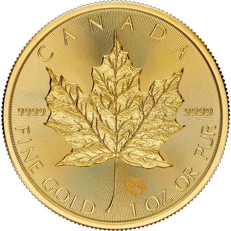 Foglia d'acero (2025) - Moneta d'oro da 1 Oz.