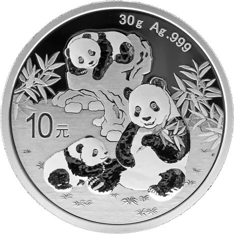 Panda (2025) - 30 g - moneta d'argento da investimento