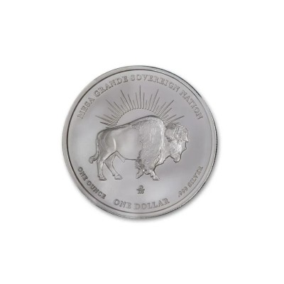 Dollaro Bisonte dei Nativi Americani di Mesa Grande (2025) - Moneta da collezione d'argento da 1 Oz.
