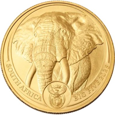 Big Five Elephant (2025) - 1 Oz - moneta d'oro da investimento