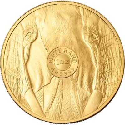 Big Five Elephant (2025) - 1 Oz - moneta d'oro da investimento