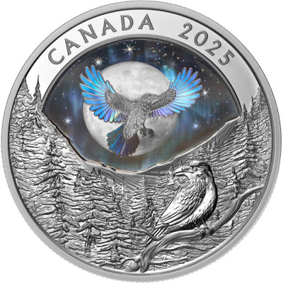 Cielo lunare: Raven - Moneta da collezione d'argento da 1 Oz