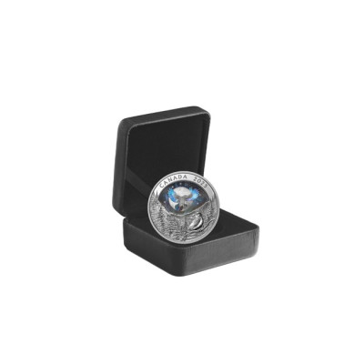 Cielo lunare: Raven - Moneta da collezione d'argento da 1 Oz