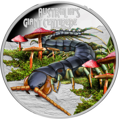 Millepiedi Gigante (2026) - Moneta da collezione da 1 Oz di prova d'argento