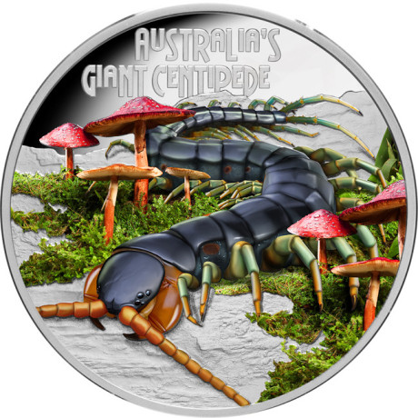 Millepiedi Gigante (2026) - Moneta da collezione da 1 Oz di prova d'argento