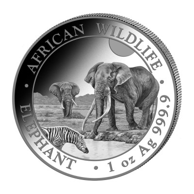 Elefante africano (2026) - Moneta d'argento da investimento da 1 Oz.