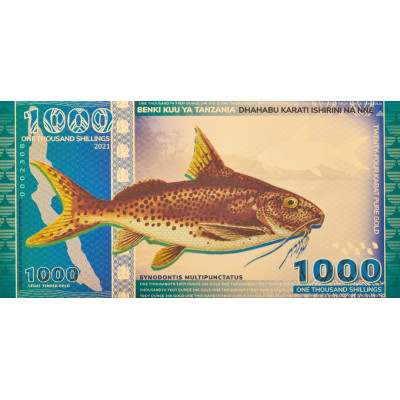 Tanzania 1000 scellini Lago Tanganica Pesce gatto