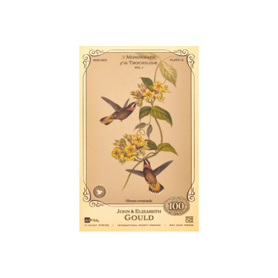 La collezione John ed Elizabeth Gould - Colibrì