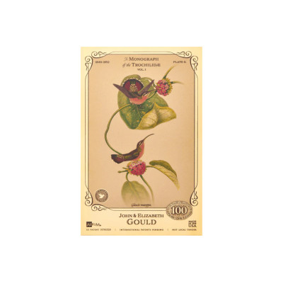 La collezione John ed Elizabeth Gould - Colibrì