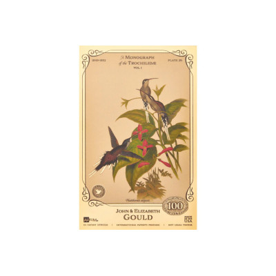 La collezione John ed Elizabeth Gould - Colibrì