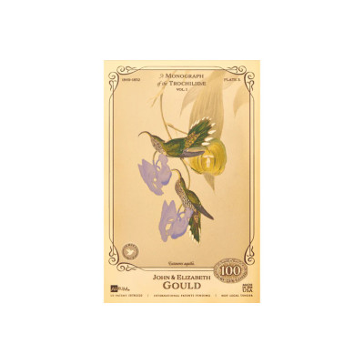 La collezione John ed Elizabeth Gould - Colibrì