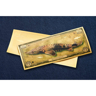 Storione di roccia - Banconota in oro 24k - Serie I